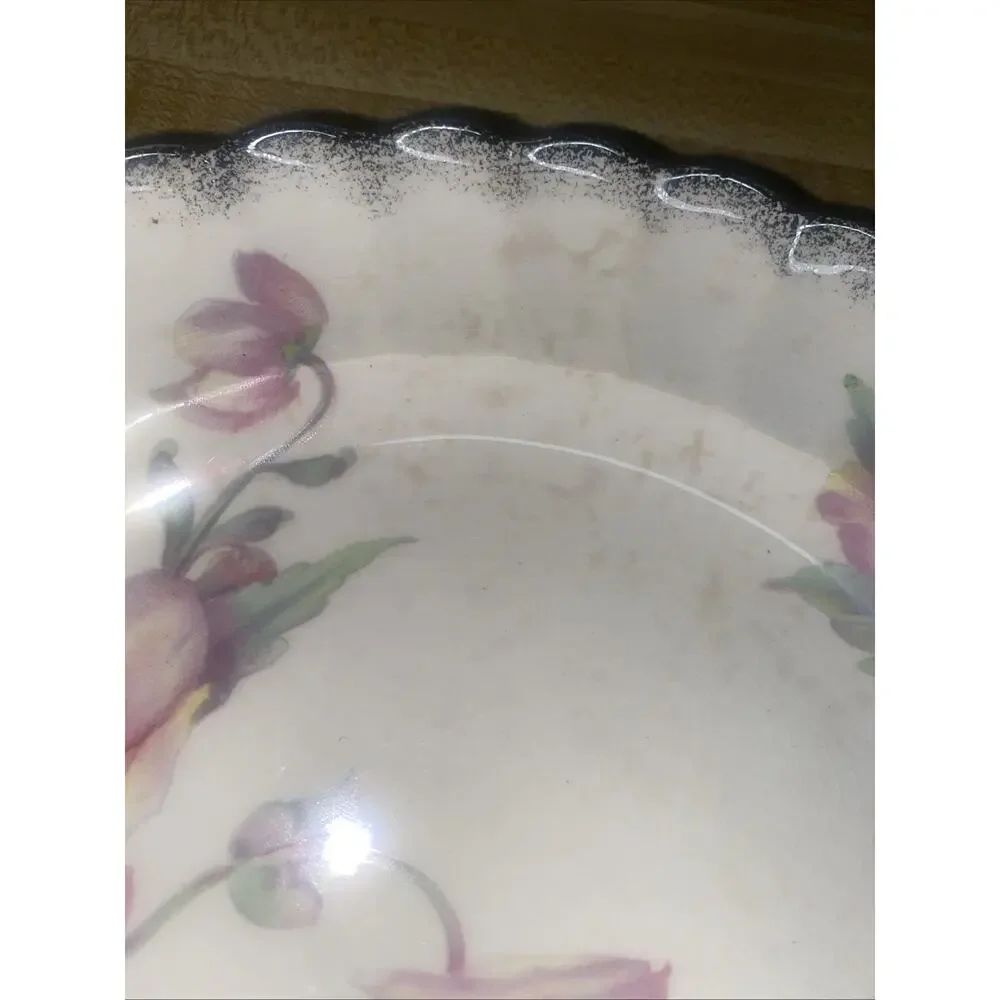 Set Of 4 9.25” Dinner Plates Ivory Porcelain By Sebring “Primrose” 22K Gold Trim